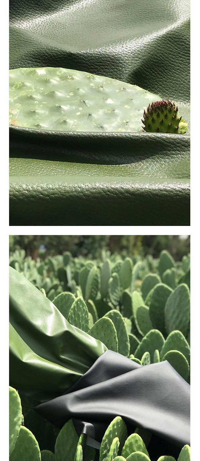 efeu wuchshöhe Efeu - Hedera helix main image 0