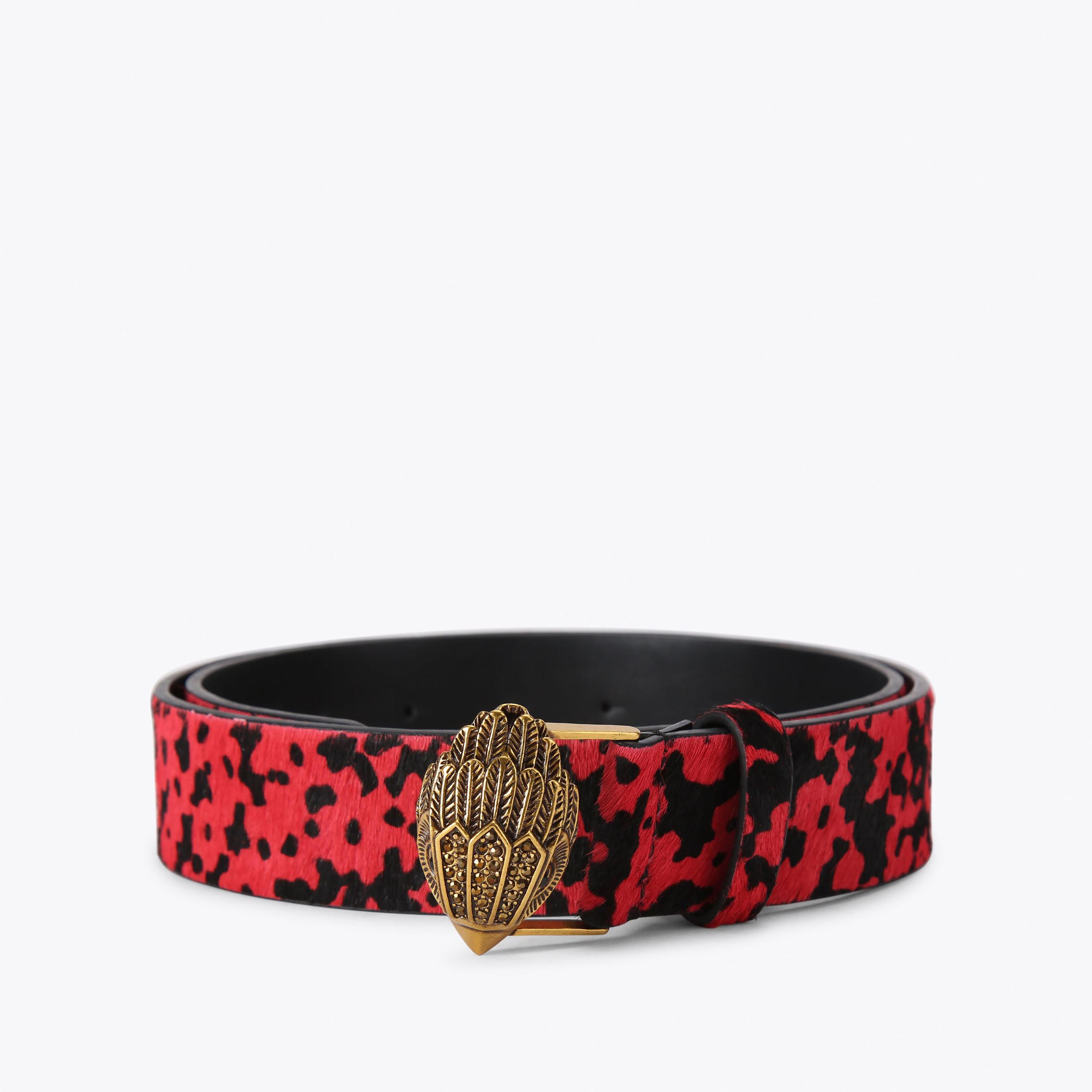 KENSINGTON 38 BELT Weave Canvas Belt by KURT GEIGER LONDON