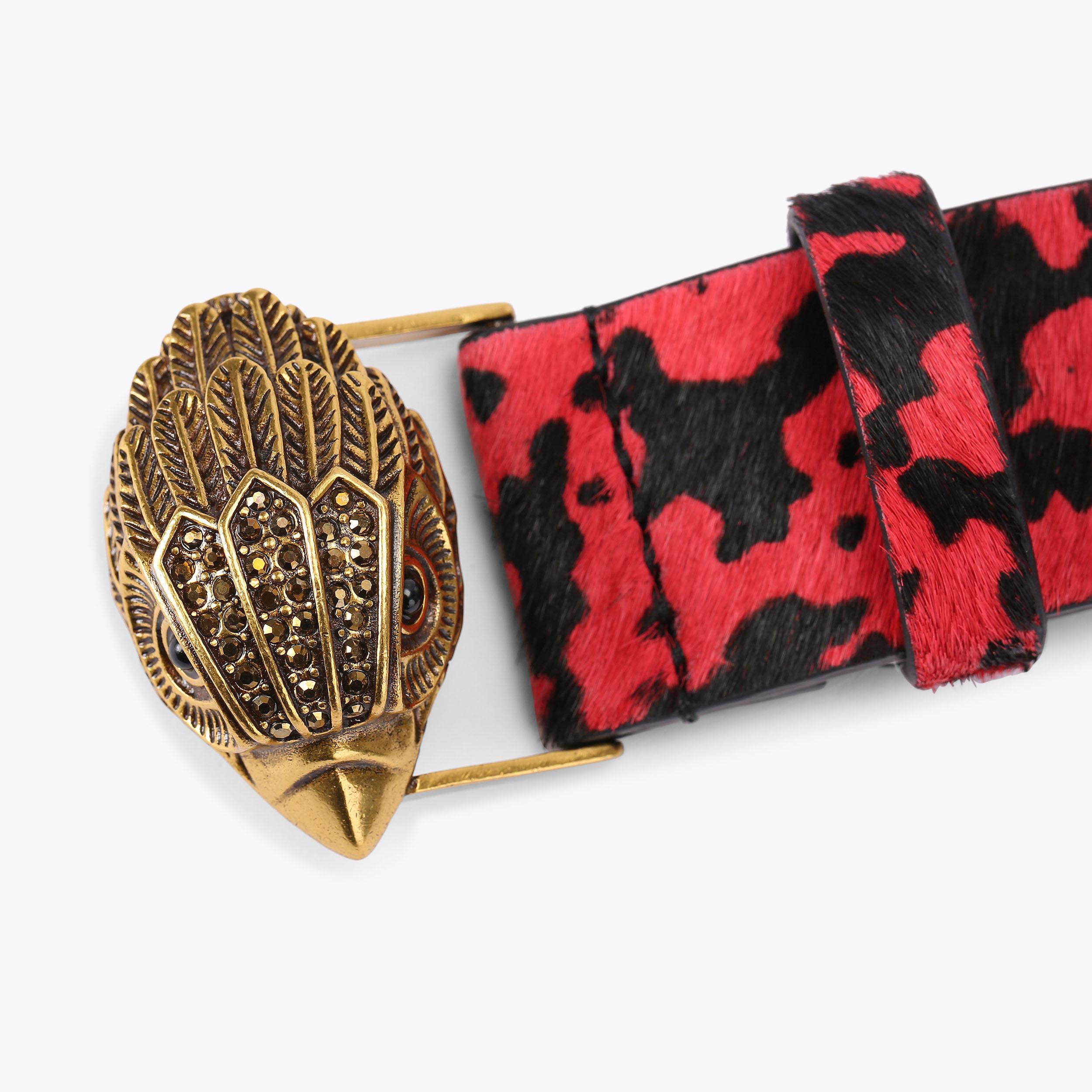 KENSINGTON 38 BELT Weave Canvas Belt by KURT GEIGER LONDON