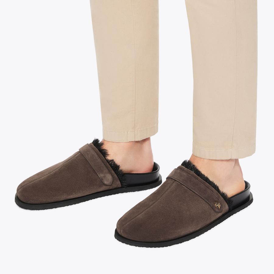 Hatton Mule