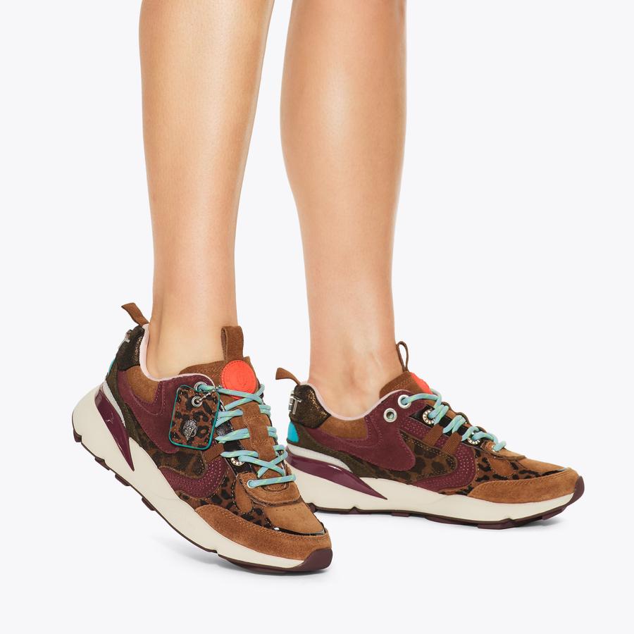 KURT RUNNER Leopard Print Suede Sneaker by KURT GEIGER LONDON