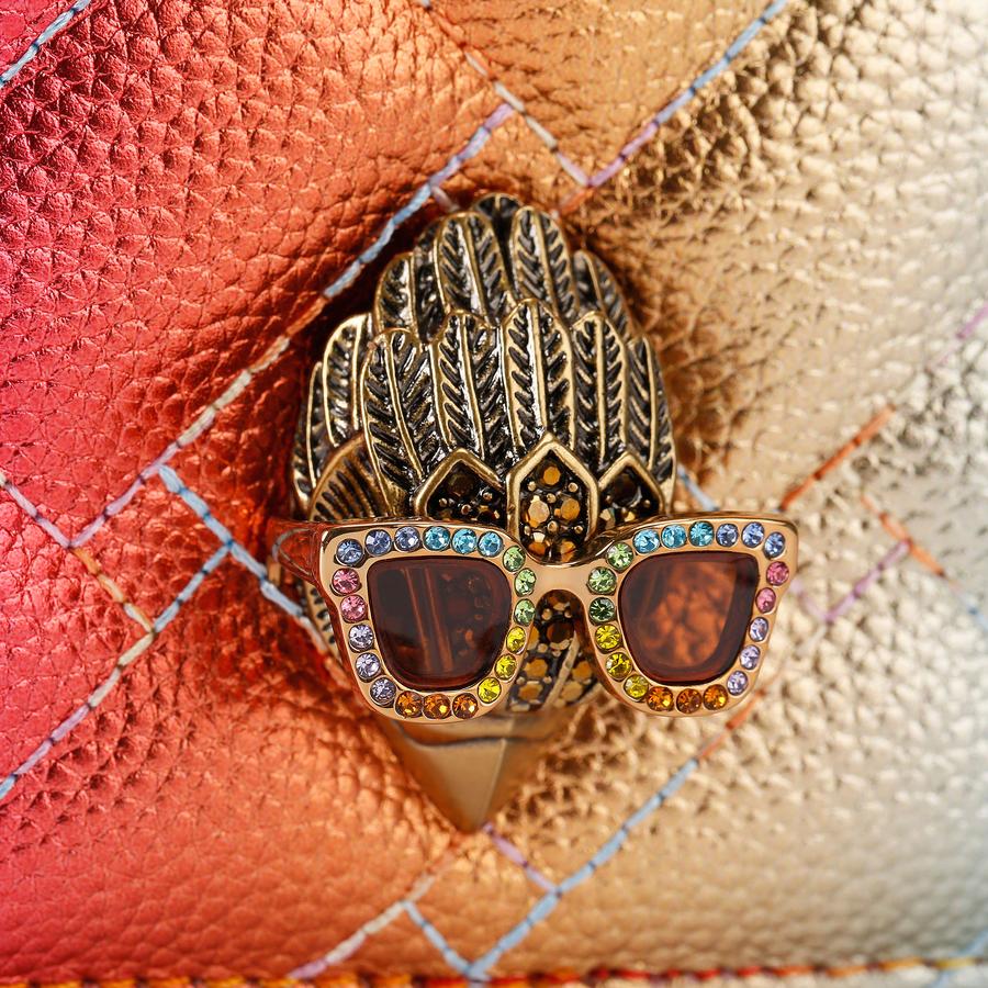 2Z KENSINGTON CAMERA Ombre Pebble Grain Cross Body Bag by Kurt
