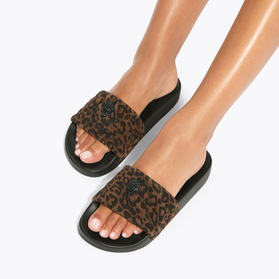 Meena Eagle Slide
