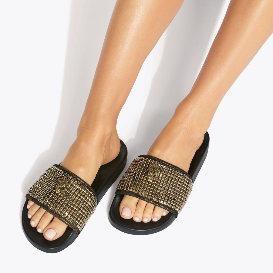 Meena Eagle Slide