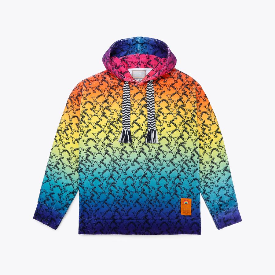 rgf29 RAINBOW HOODIE Rainbow Ombre Bird Printed Hooded Sweatshirt