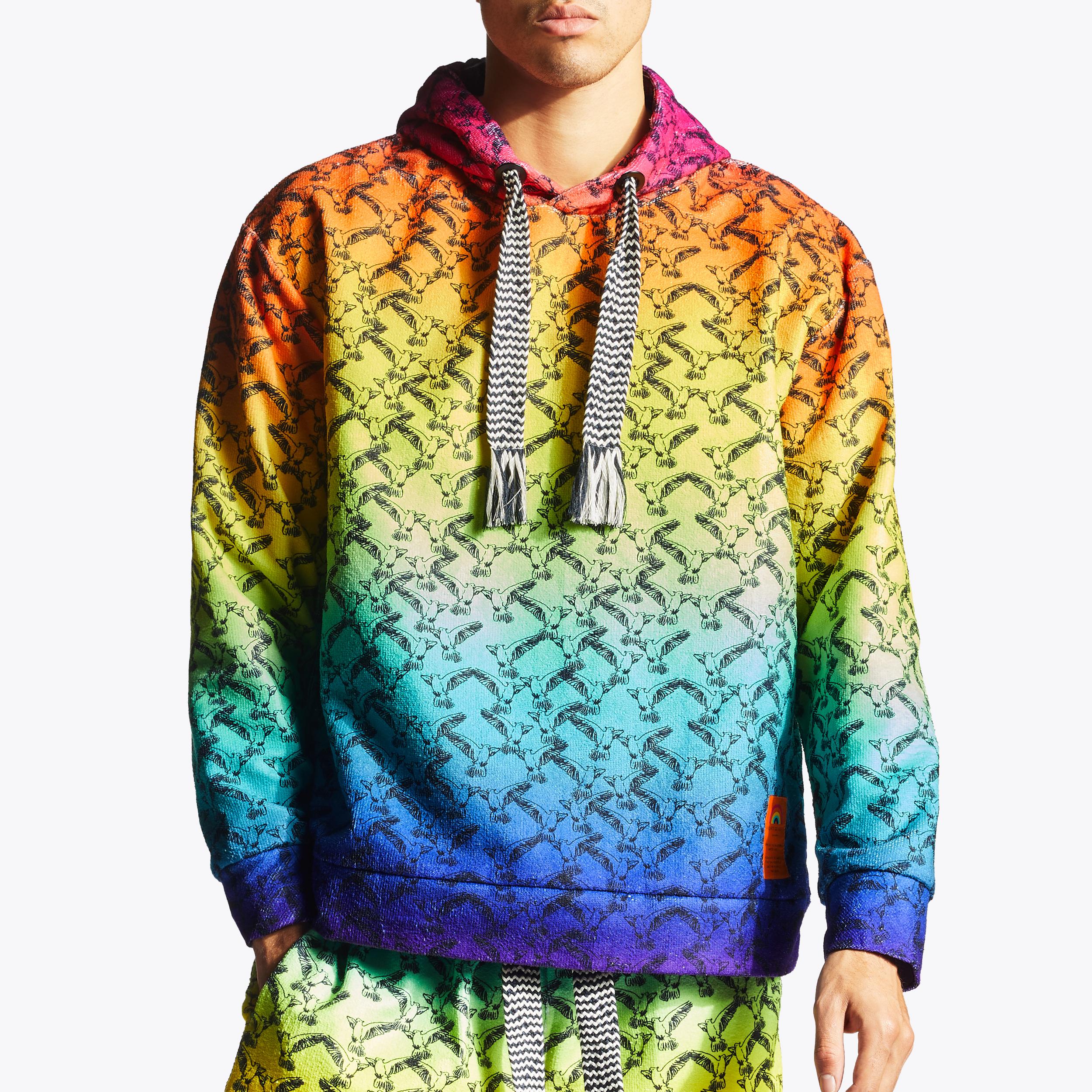 RAINBOW HOODIE Rainbow Ombre Bird Printed Hooded Sweatshirt