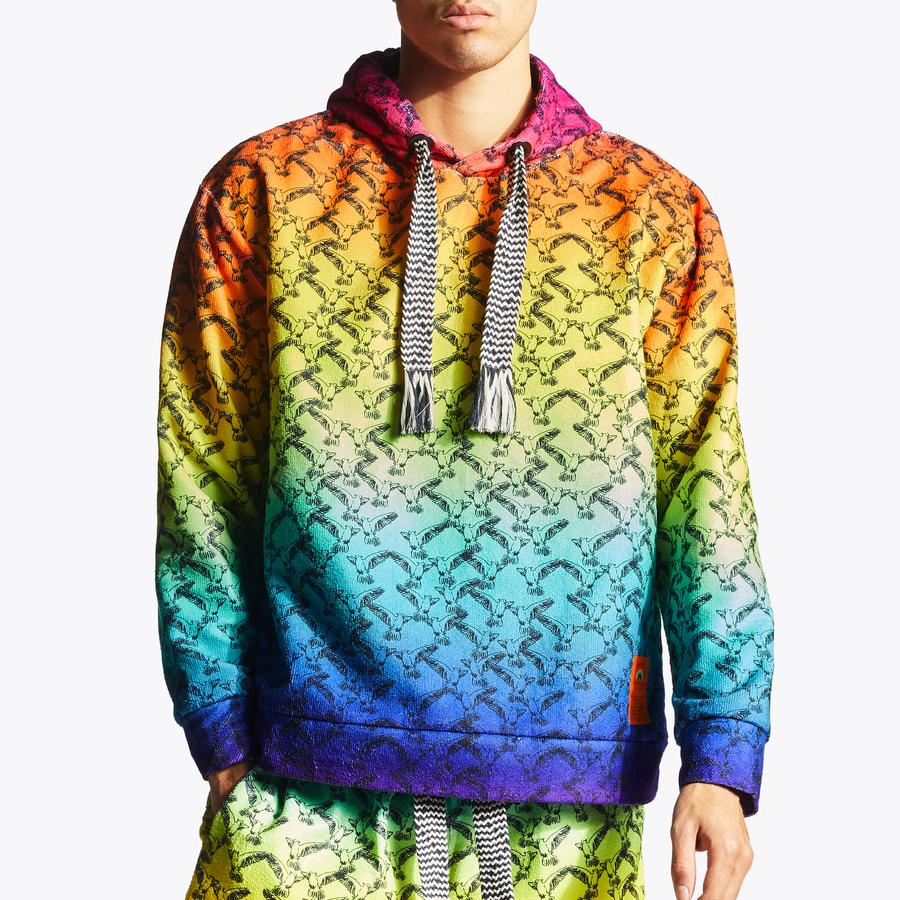 RAINBOW HOODIE Rainbow Ombre Bird Printed Hooded Sweatshirt